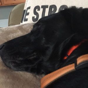 Meet your Posher, Aanne